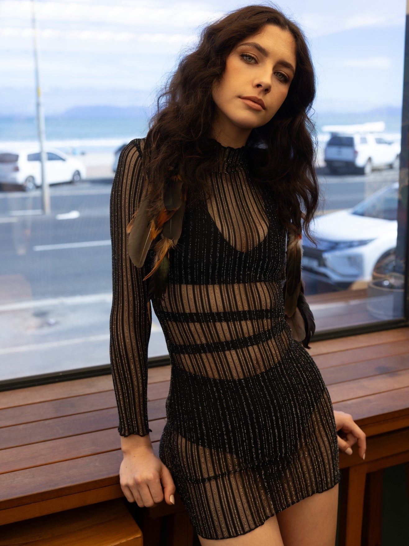 Sheer Dress