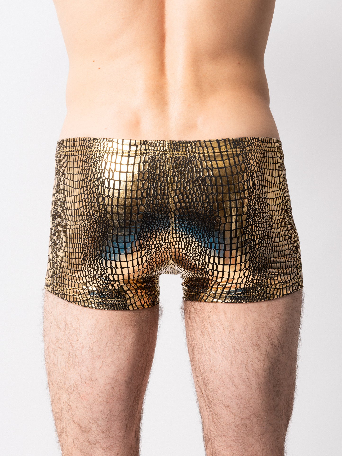 Bronze Briefs