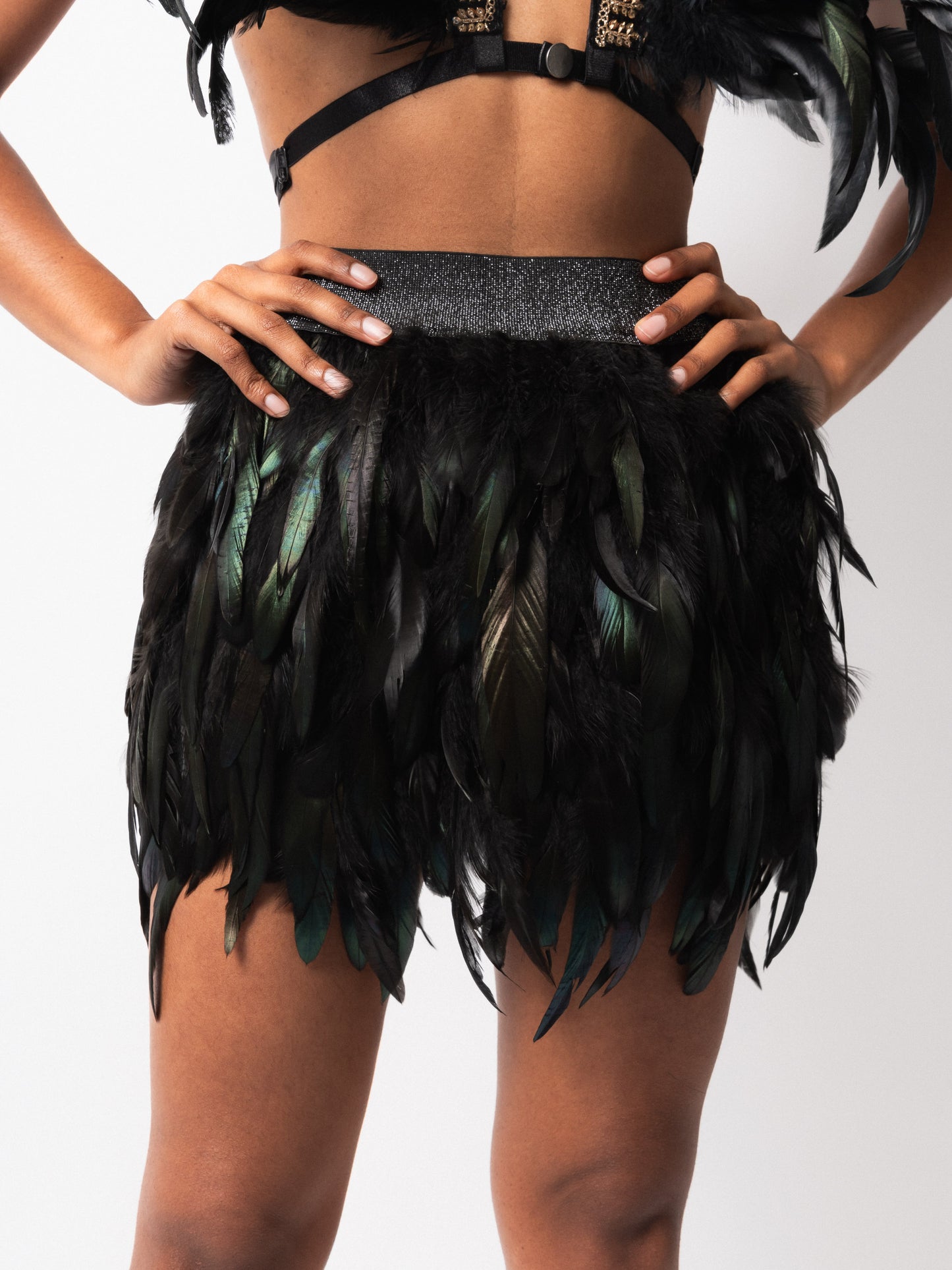 Black Feather Skirt