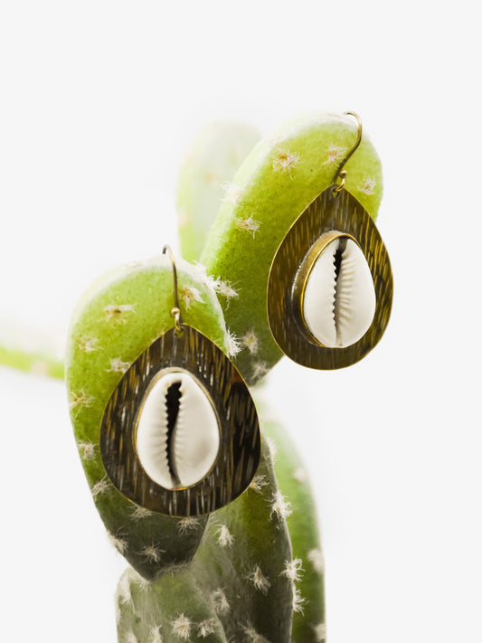 Sun Cowry Earrings