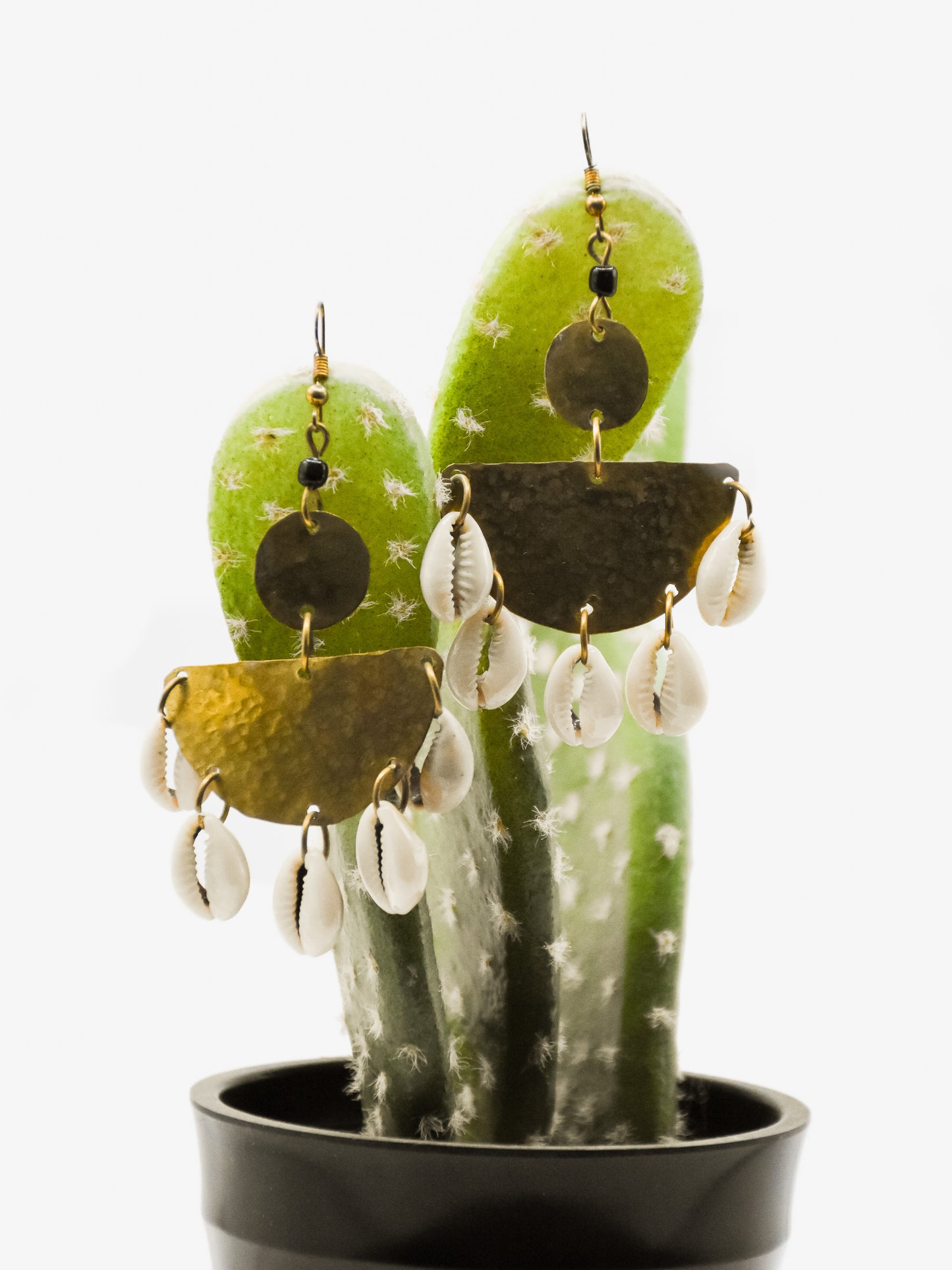 Moon Cowrie Earrings