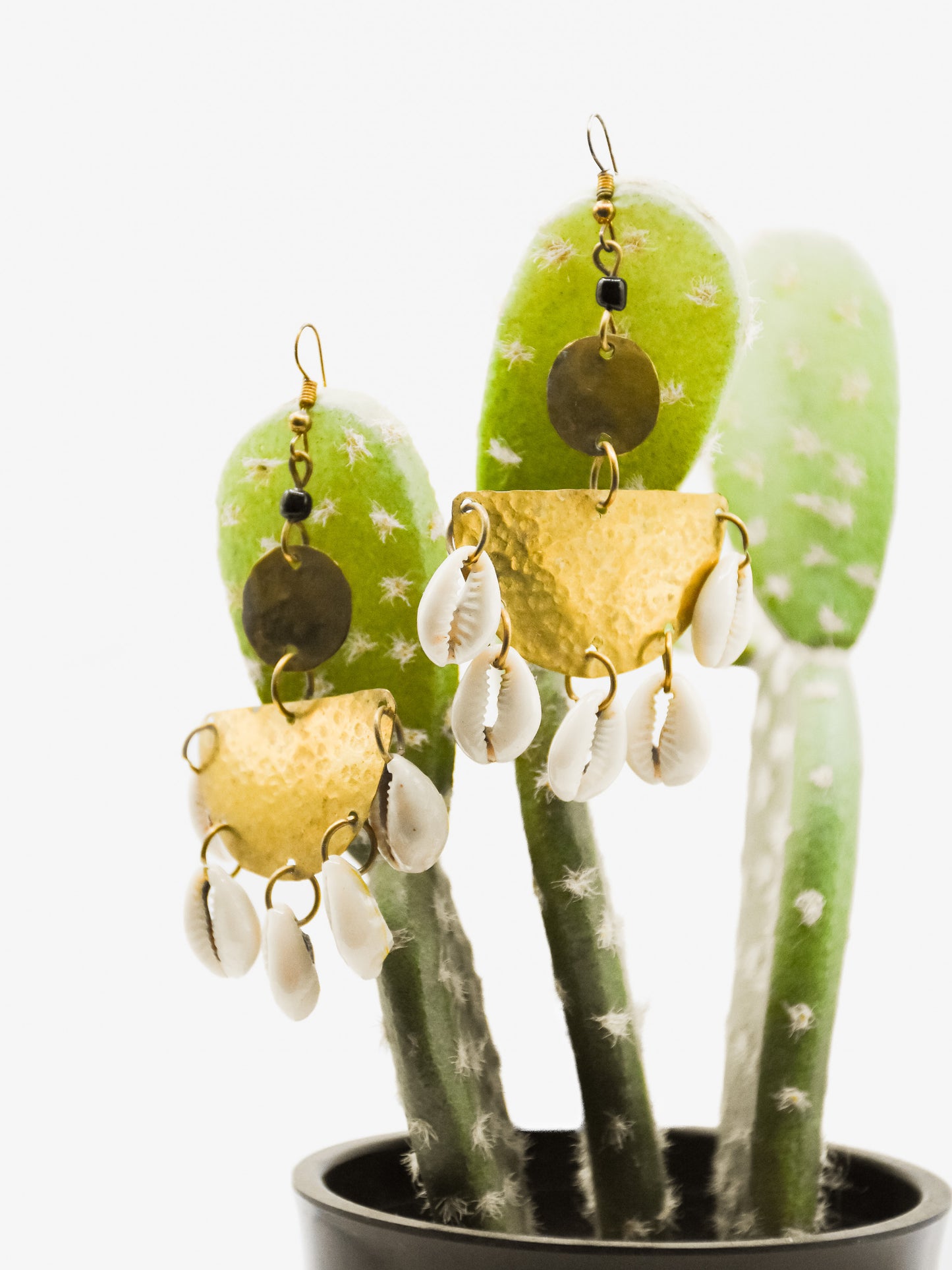 Moon Cowrie Earrings